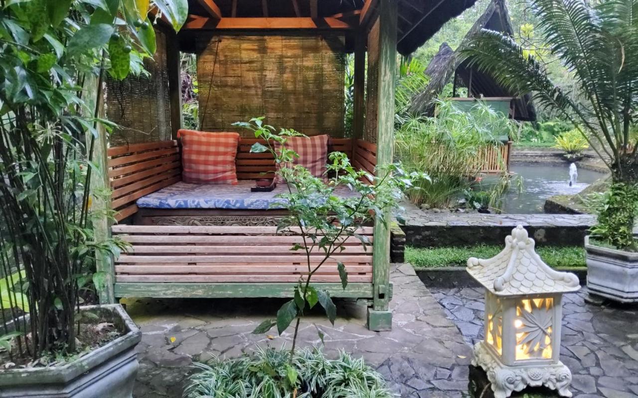 Hotel Mi Casa - The Gem Of Ijen Banyuwangi  Exterior foto
